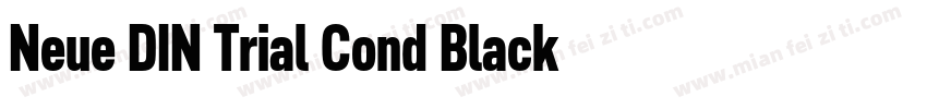 Neue DIN Trial Cond Black字体转换